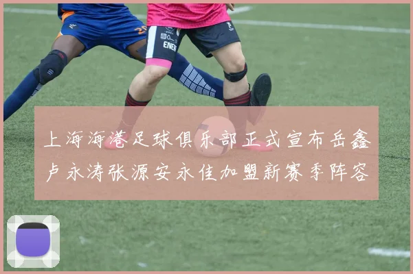 上海海港足球俱乐部正式宣布岳鑫卢永涛张源安永佳加盟新赛季阵容更新